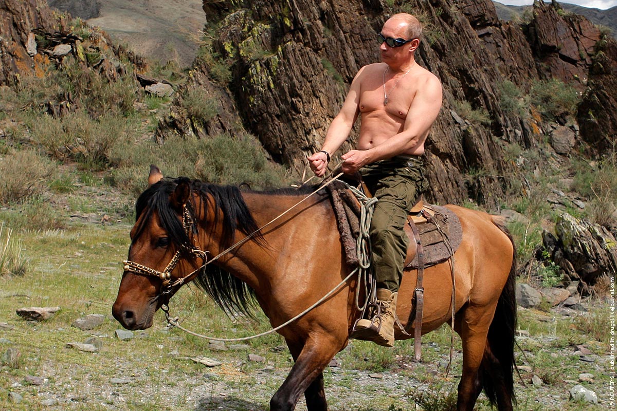 Владимир Владимирович Путин верхом на коне, Путин с голым торсом, прогулка, президент