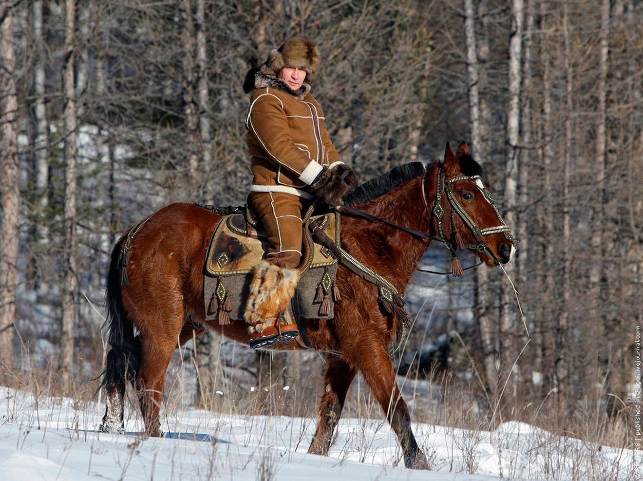 Владимир Владимирович Путин на зимней охоте, прогулке на коне, фото, зима