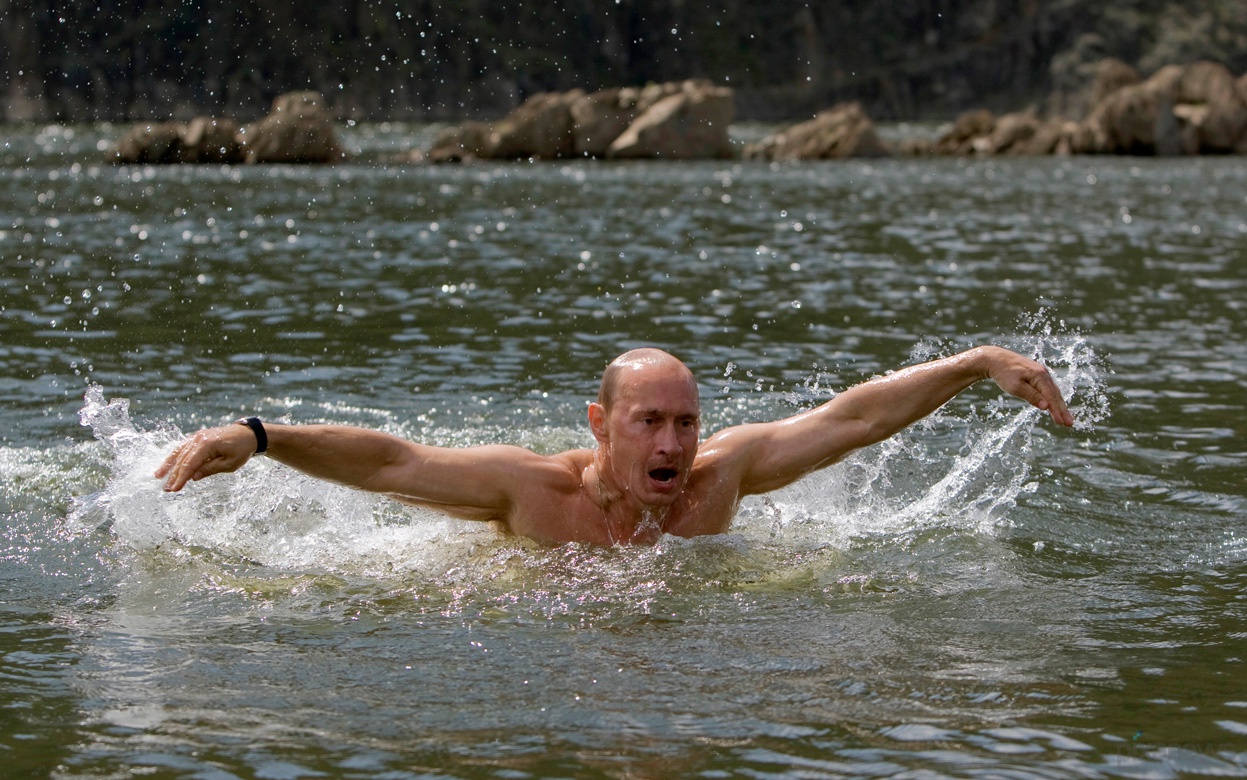 Владимир Владимирович Путин плывет, плавает в речке, президент России, пловец