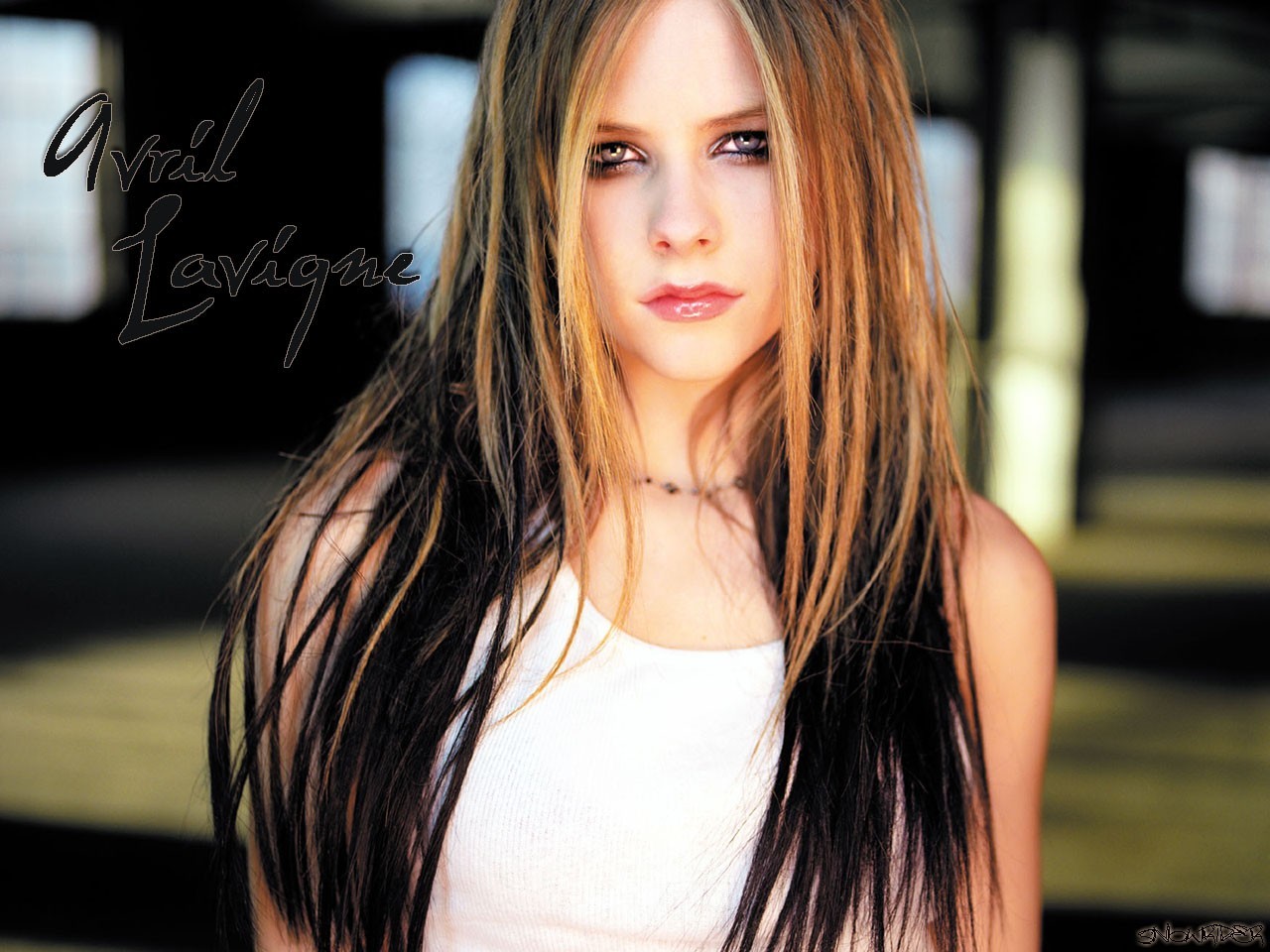 Avril Lavigne wallpapers, фото, обои для рабочего стола, Аврил Лавин, скачать бесплатно, певица