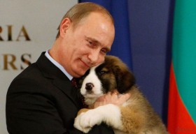 Владимир Путин с щенком, скачать фото, собака и Путин, президент России